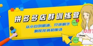 拼多多店群训练营:从小白到精通,只讲精华,剔除推销和废话-墨痕微课
