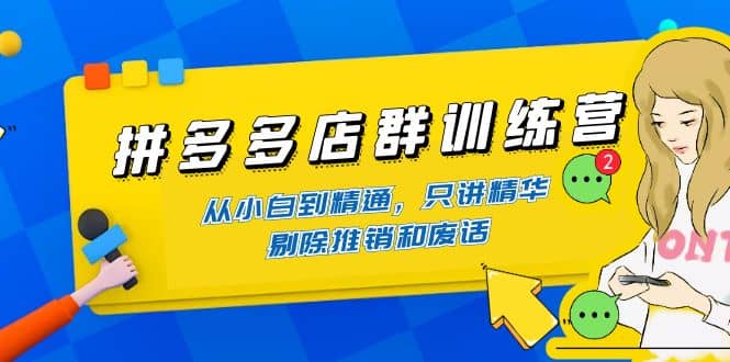 拼多多店群训练营:从小白到精通,只讲精华,剔除推销和废话-墨痕微课