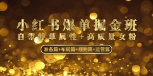 小红书爆单掘金班:自带种草属性 高质量女粉 准备篇 布局篇 规则篇 运营篇-墨痕微课