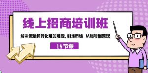 线上·招商培训班,解决流量和转化难的难题 引爆市场 从起号到变现(15节)-墨痕微课
