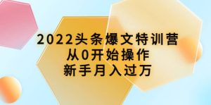 2022头条爆文特训营:从0开始操作,新手月入过万(16节课时)-墨痕微课