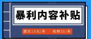 百家号暴利内容补贴项目，图文10元一条，视频30一条，新手小白日赚300-墨痕微课