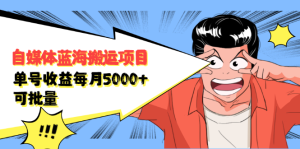自媒体蓝海搬运项目,价值680元-墨痕微课