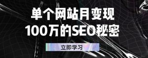 单个网站月变现100万的SEO秘密,百分百做出赚钱站点-墨痕微课