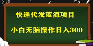 2023最新蓝海快递代发项目，小白零成本照抄-墨痕微课