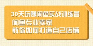 30天玩赚闲鱼实战训练营,闲鱼专业卖家教你如何打造自己店铺-墨痕微课