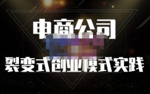 聚草堂·电商公司裂变式创业模式实践,电商卖家的人力资源管理分享-墨痕微课