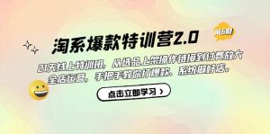 淘系爆款特训营2.0【第六期】从选品上架到付费放大 全店运营 打爆款 做好店-墨痕微课