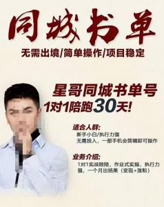 星哥同城教育书单号课程,无需出境简单操作项目稳定-墨痕微课