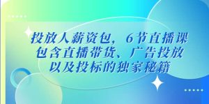 投放人薪资包,6节直播课,包含直播带货、广告投放、以及投标的独家秘籍-墨痕微课