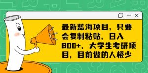 最新蓝海项目,只要会复制粘贴,日入800 ,大学生考研项目,目前做的人极少-墨痕微课