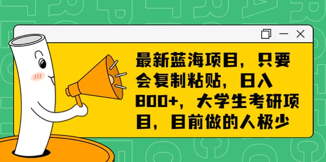 最新蓝海项目,只要会复制粘贴,日入800 ,大学生考研项目,目前做的人极少-墨痕微课