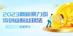 2023最新暴力引流创业粉丝玩法,单日被动引流50 创业粉-墨痕微课