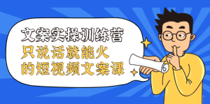 文案实操训练营,只说话就能火的短视频文案课-墨痕微课