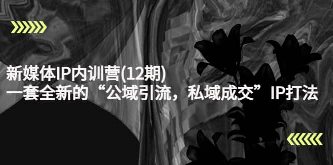 新媒体IP内训营(12期),一套全新的“公域引流,私域成交”IP打法,直接带走-墨痕微课