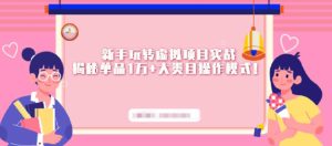 新手玩转虚拟项目实战,揭秘单品1万 大类目操作模式【视频课程】-墨痕微课