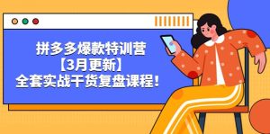 拼多多爆款特训营【3月更新】,全套实战干货复盘课程-墨痕微课