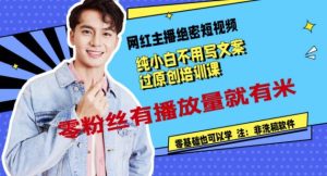 网红主播绝密短视频,纯小白不用写文案过原创培训课,零粉丝有播放量就有米-墨痕微课