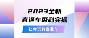 2023全新直通车·盈利实操:从底层,策略到搭建,让你玩转直通车-墨痕微课