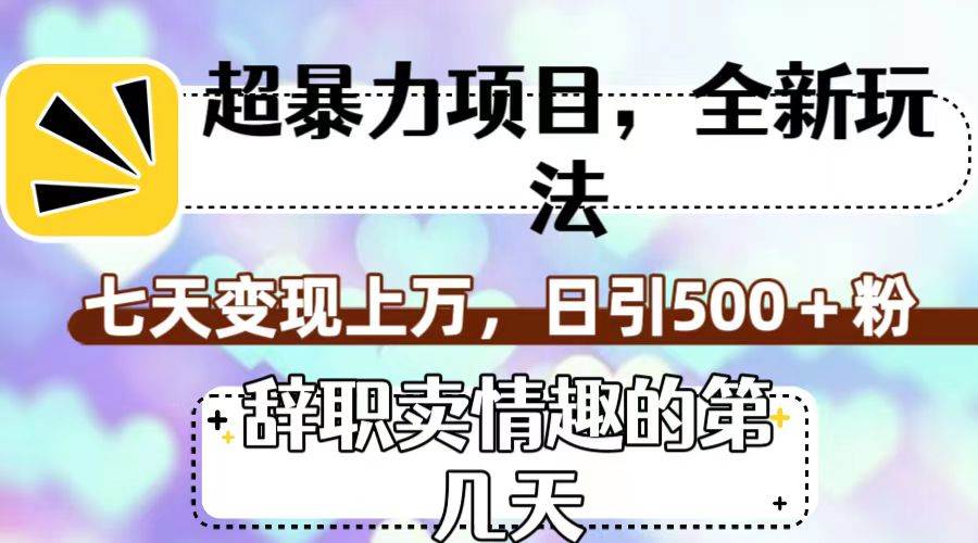 超暴利项目,全新玩法(辞职卖情趣的第几天),七天变现上万,日引500 粉-墨痕微课