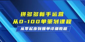 拼多多新手运营从0-100单策划课程,从零起步到爆单详细教程-墨痕微课