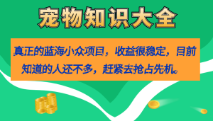真正的蓝海小众项目，宠物知识大全，收益很稳定（教务 素材）-墨痕微课