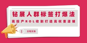 钻展人群标签打爆法,高投产ROL收割打造高权重店铺(全程实操)-墨痕微课