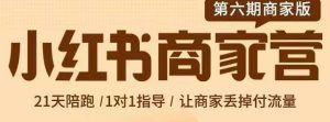 贾真-小红书商家营第6期商家版,21天带货陪跑课,让商家丢掉付流量-墨痕微课