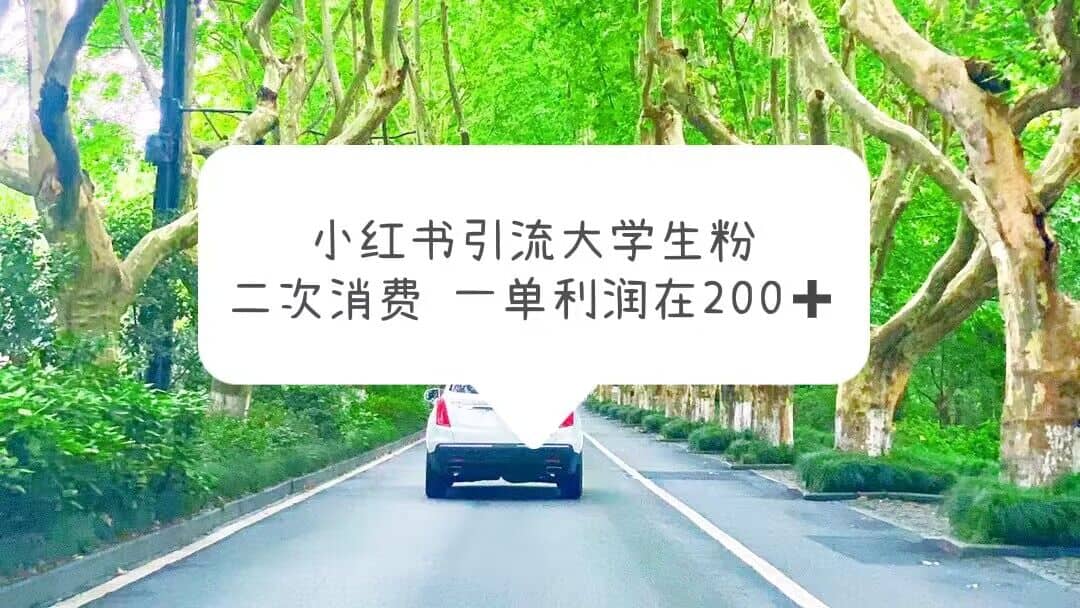 小红书引流大学生粉,变现项目,一单利润在200 (教程 资源)-墨痕微课