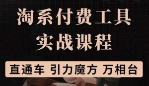 淘系付费工具实战课程【直通车、引力魔方】战略优化,实操演练(价值1299)-墨痕微课