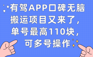 有驾APP口碑无脑搬运项目又来了,单号最高110块,可多号操作-墨痕微课
