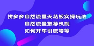 拼多多自然流量天花板实操玩法:自然流量推荐机制,如何开车引流等等-墨痕微课