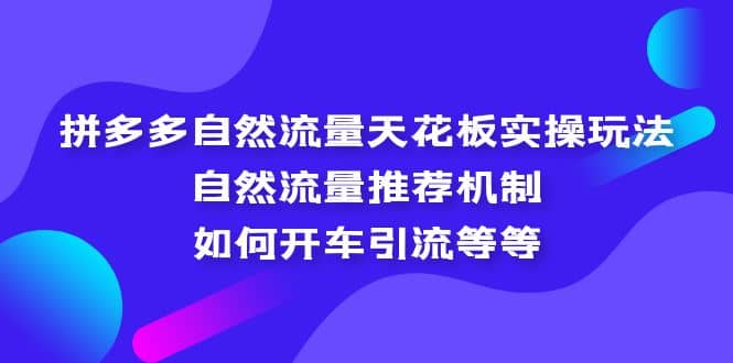 拼多多自然流量天花板实操玩法：自然流量推荐机制，如何开车引流等等-墨痕微课