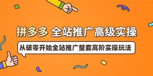 拼多多全站推广高级实操:从破零开始全站推广整套高阶实操玩法-墨痕微课