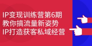 IP变现训练营第6期:教你搞流量新姿势,IP打造获客私域经营-墨痕微课