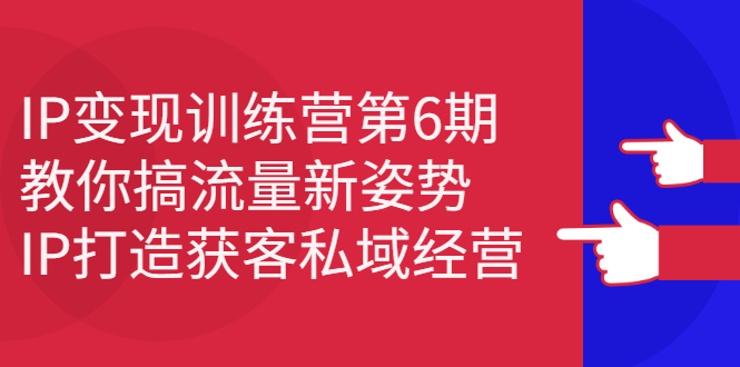 IP变现训练营第6期：教你搞流量新姿势，IP打造获客私域经营-墨痕微课