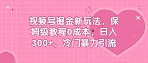 视频号掘金新玩法，保姆级教程0成本，日入300 ，冷门暴力引流-墨痕微课