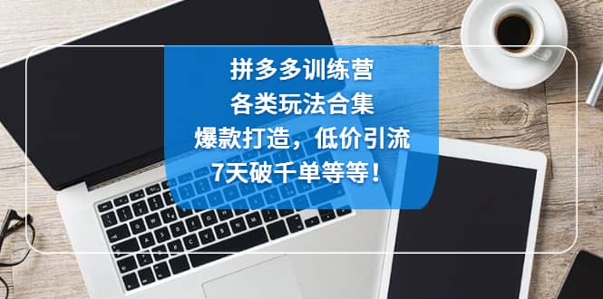 拼多多训练营：各玩法合集，爆款打造，低价引流，7天破千单等等-墨痕微课