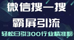 微信搜一搜霸屏引流课,打造被动精准引流系统,轻松日引300行业精准粉【无水印】-墨痕微课