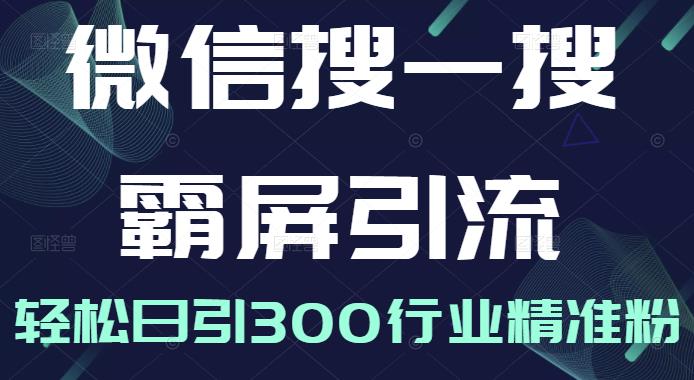 微信搜一搜霸屏引流课,打造被动精准引流系统,轻松日引300行业精准粉【无水印】-墨痕微课