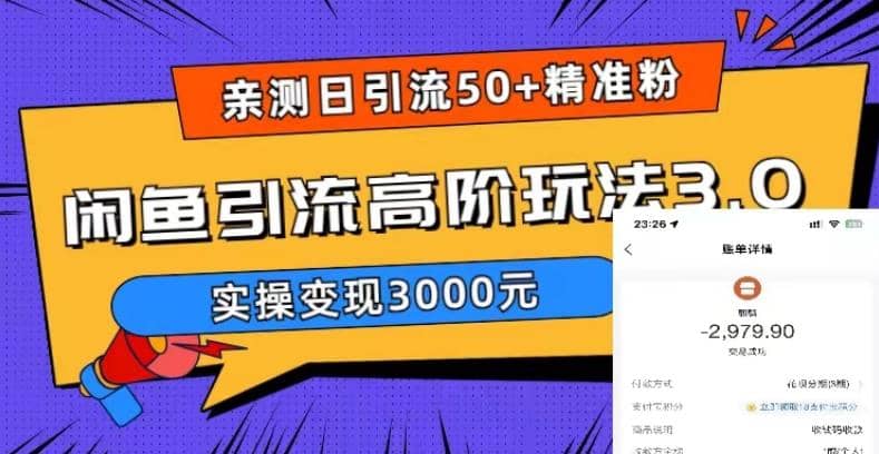 实测日引50 精准粉，闲鱼引流高阶玩法3.0，实操变现3000元-墨痕微课