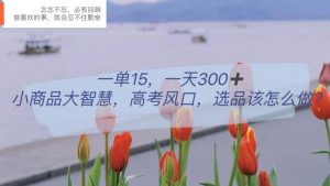 一单15，一天300 ，小商品大智慧，高考风口，选品该怎么布局-墨痕微课