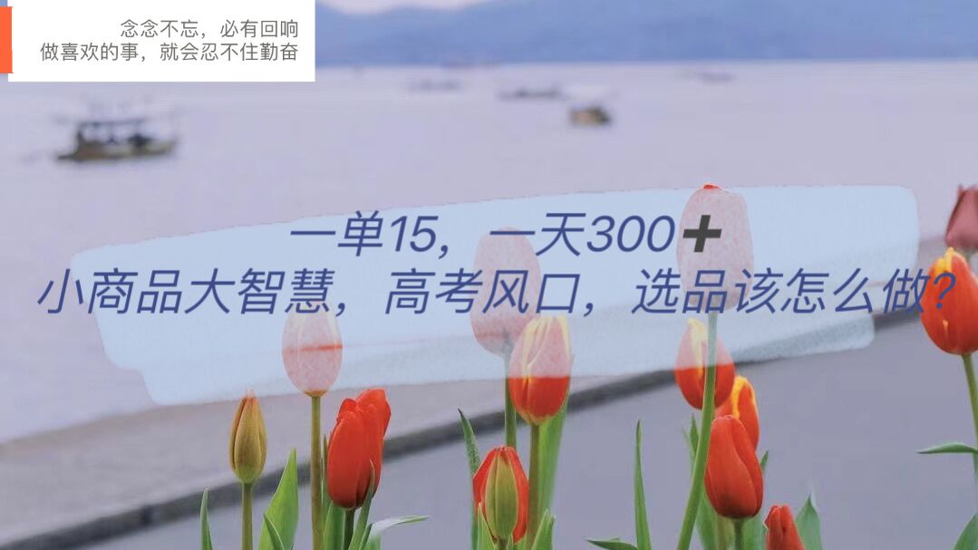 一单15,一天300 ,小商品大智慧,高考风口,选品该怎么布局-墨痕微课