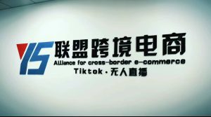 Tiktok无人直播,不出镜不剪辑不拍摄不发货无售后的跨境短视频玩法-墨痕微课