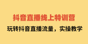 抖音直播线上特训营:玩转抖音直播流量,实操教学-墨痕微课