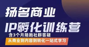 杨名商业IP孵化训练营,从商业到内容到转化一站式学 价值5980元-墨痕微课