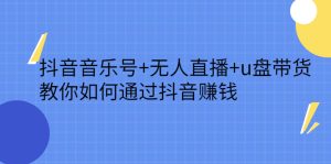 抖音音乐号 无人直播 u盘带货,教你如何通过抖音赚钱-墨痕微课