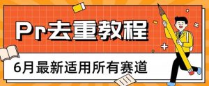 2023年6月最新Pr深度去重适用所有赛道,一套适合所有赛道的Pr去重方法-墨痕微课