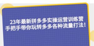 23年最新拼多多实操运营训练营:手把手带你玩转多多各种流量打法!-墨痕微课