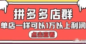拼多多店群单店一样可以产出1万5以上利润【付费文章】-墨痕微课